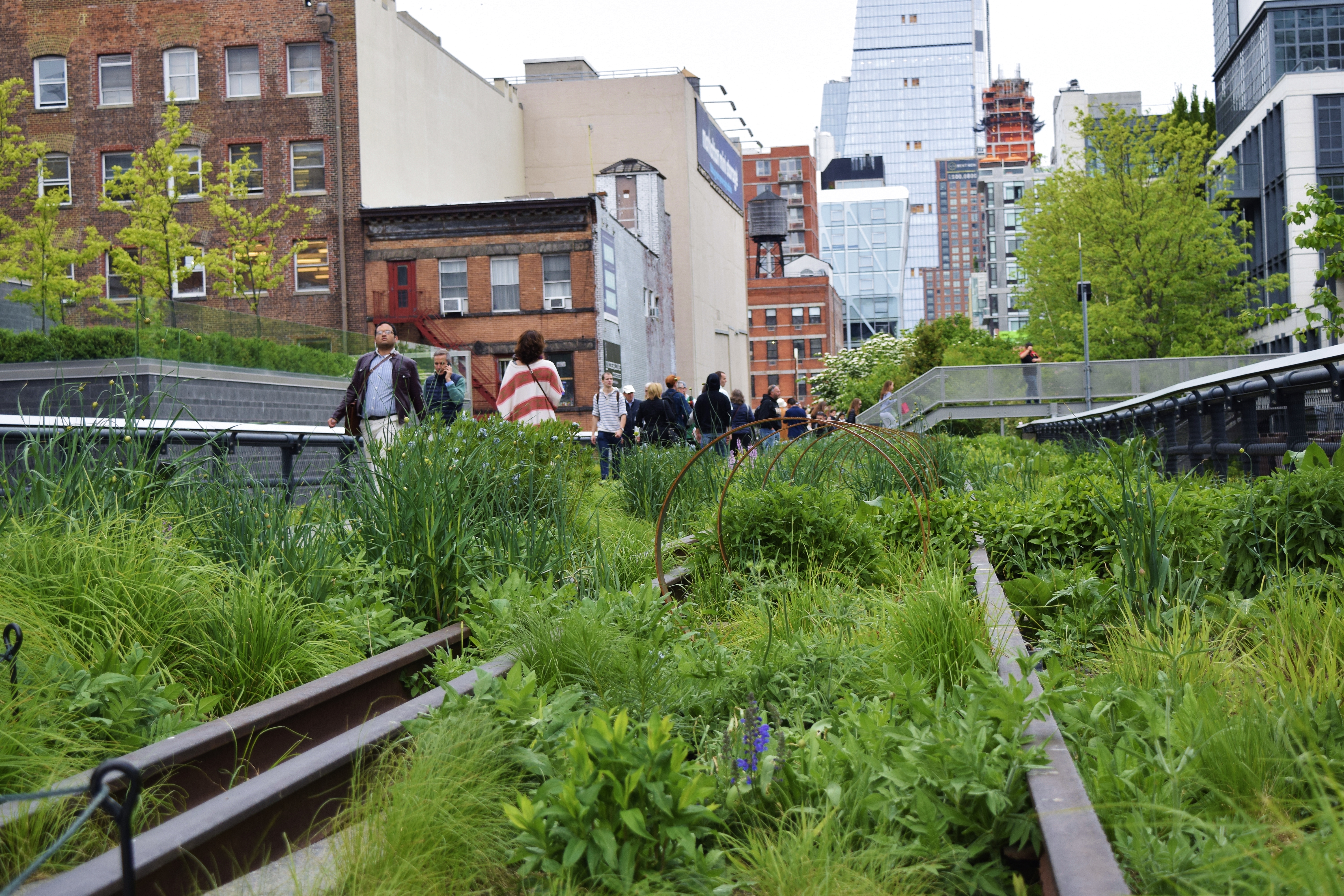 A shot on the High Line in the neighborhood of Chelsea in NYC.