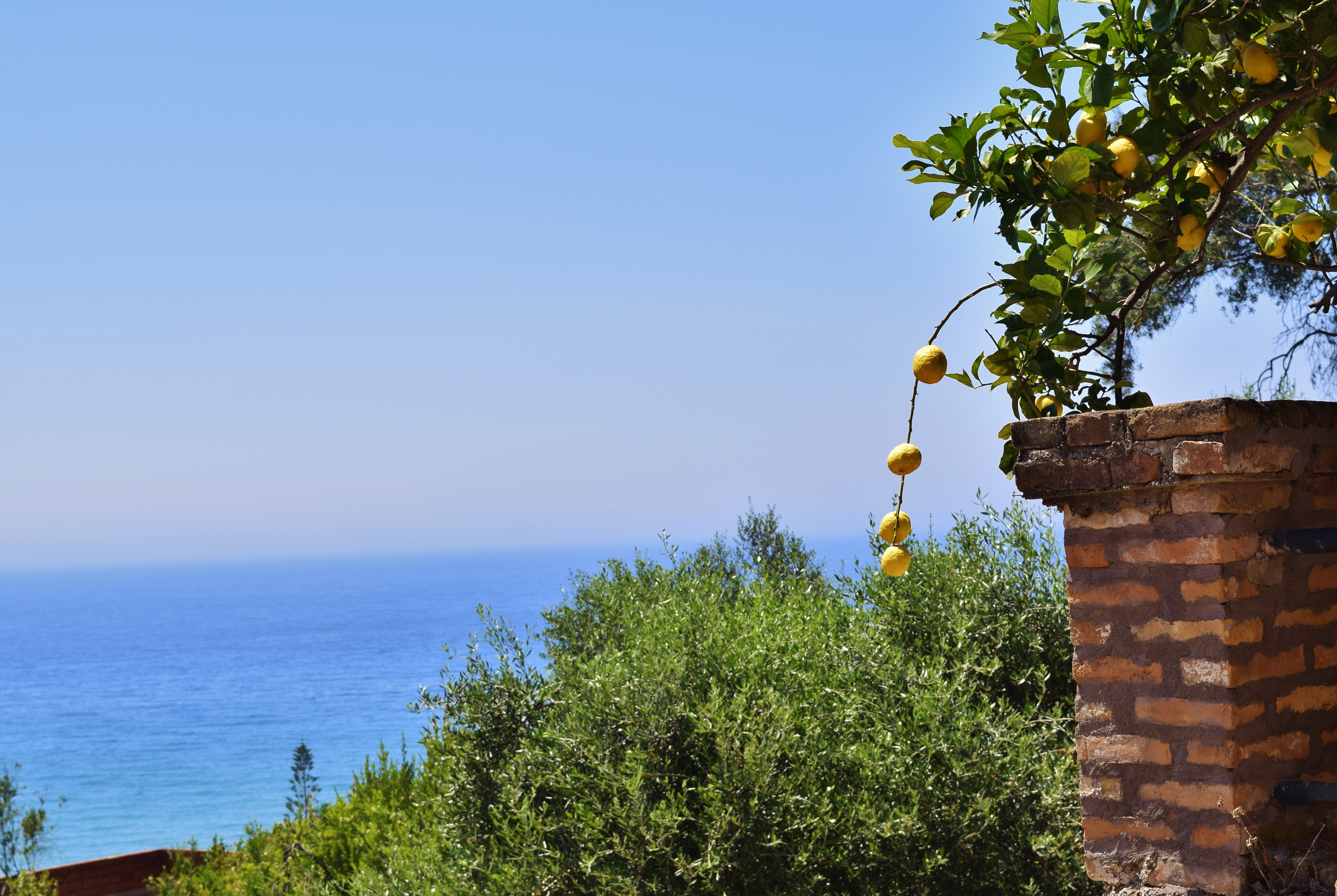 View from our balcony at the Pink Palace in Agios Gordios, Corfu, Greece.